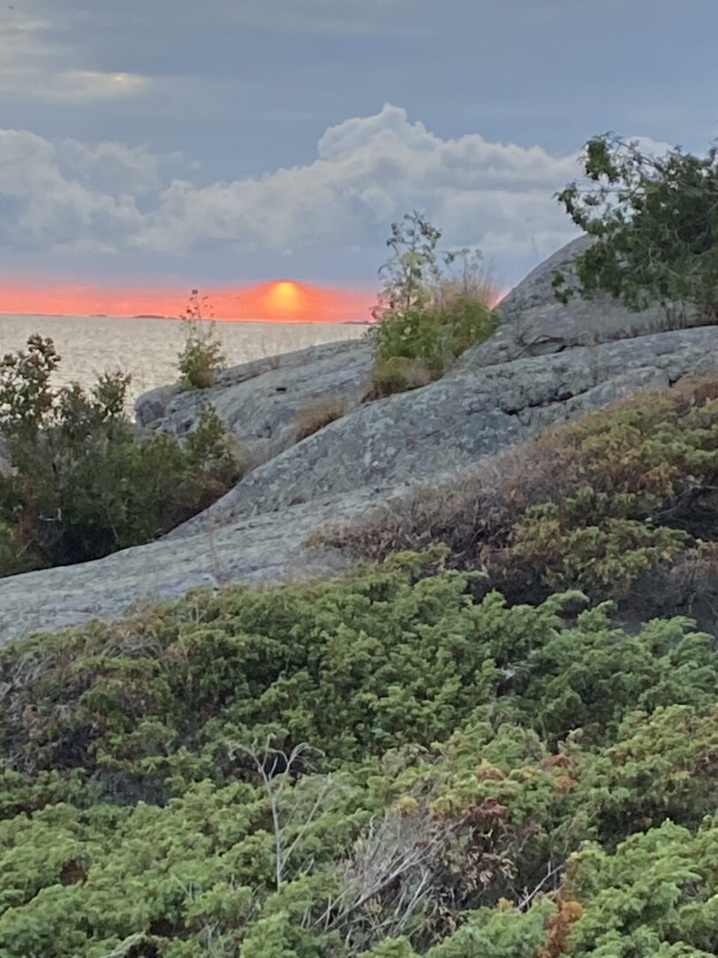 Georgian Bay Island